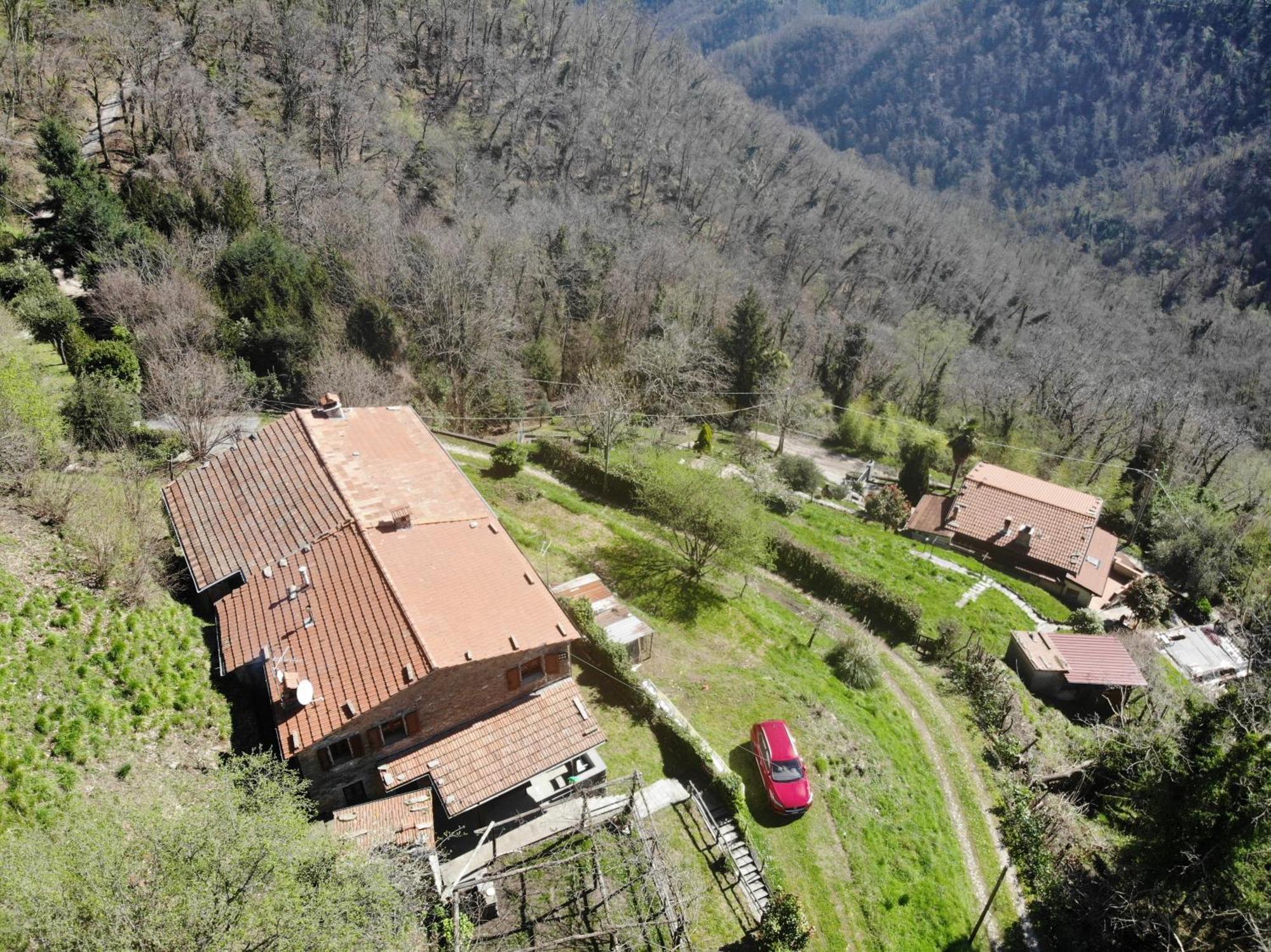 Il Frutteto Natura A Relax Stazzema Eksteriør billede
