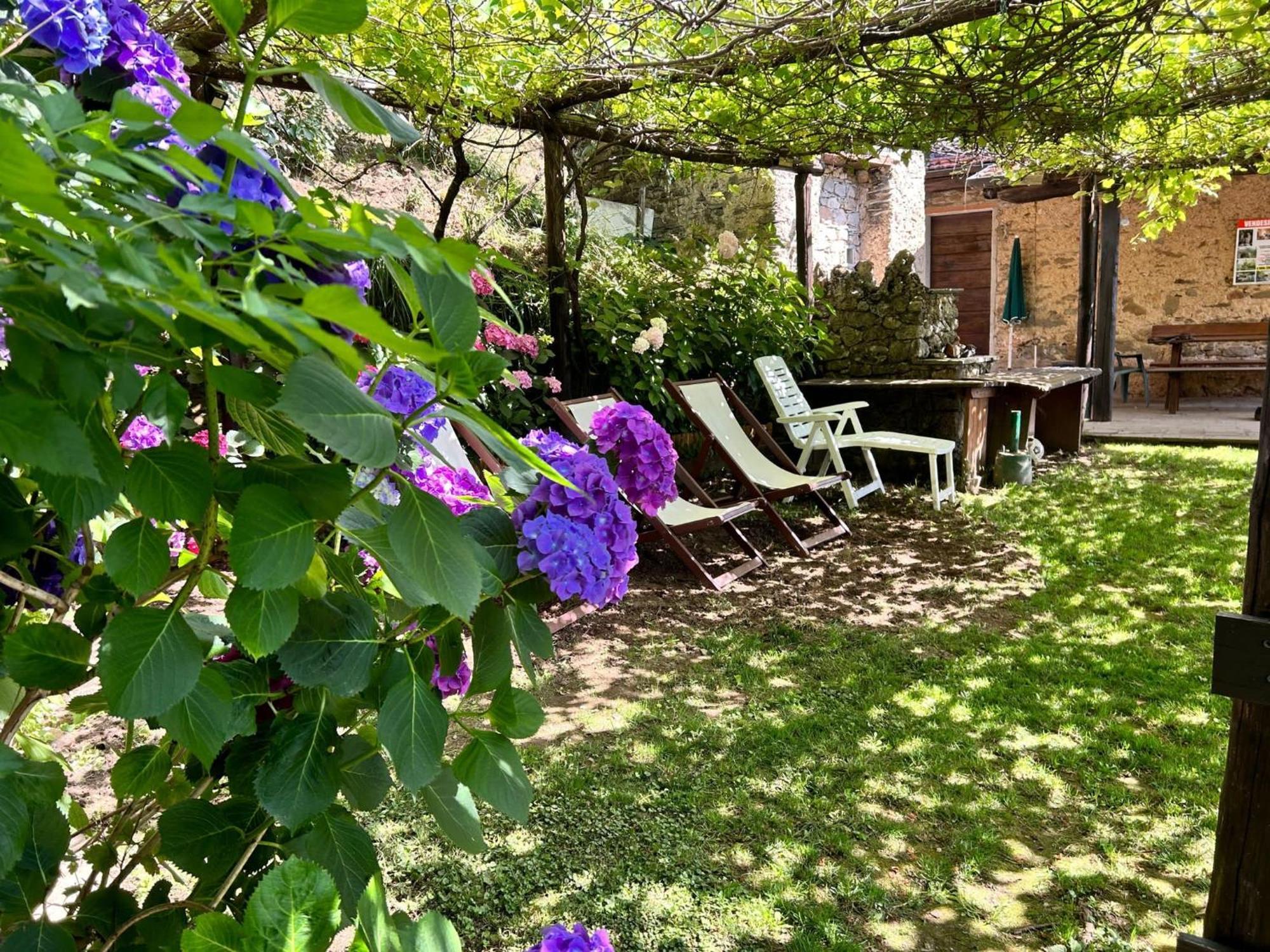 Il Frutteto Natura A Relax Stazzema Eksteriør billede