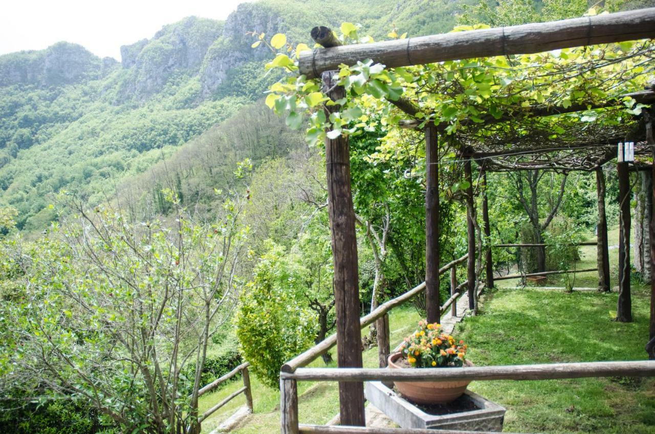 Il Frutteto Natura A Relax Stazzema Eksteriør billede