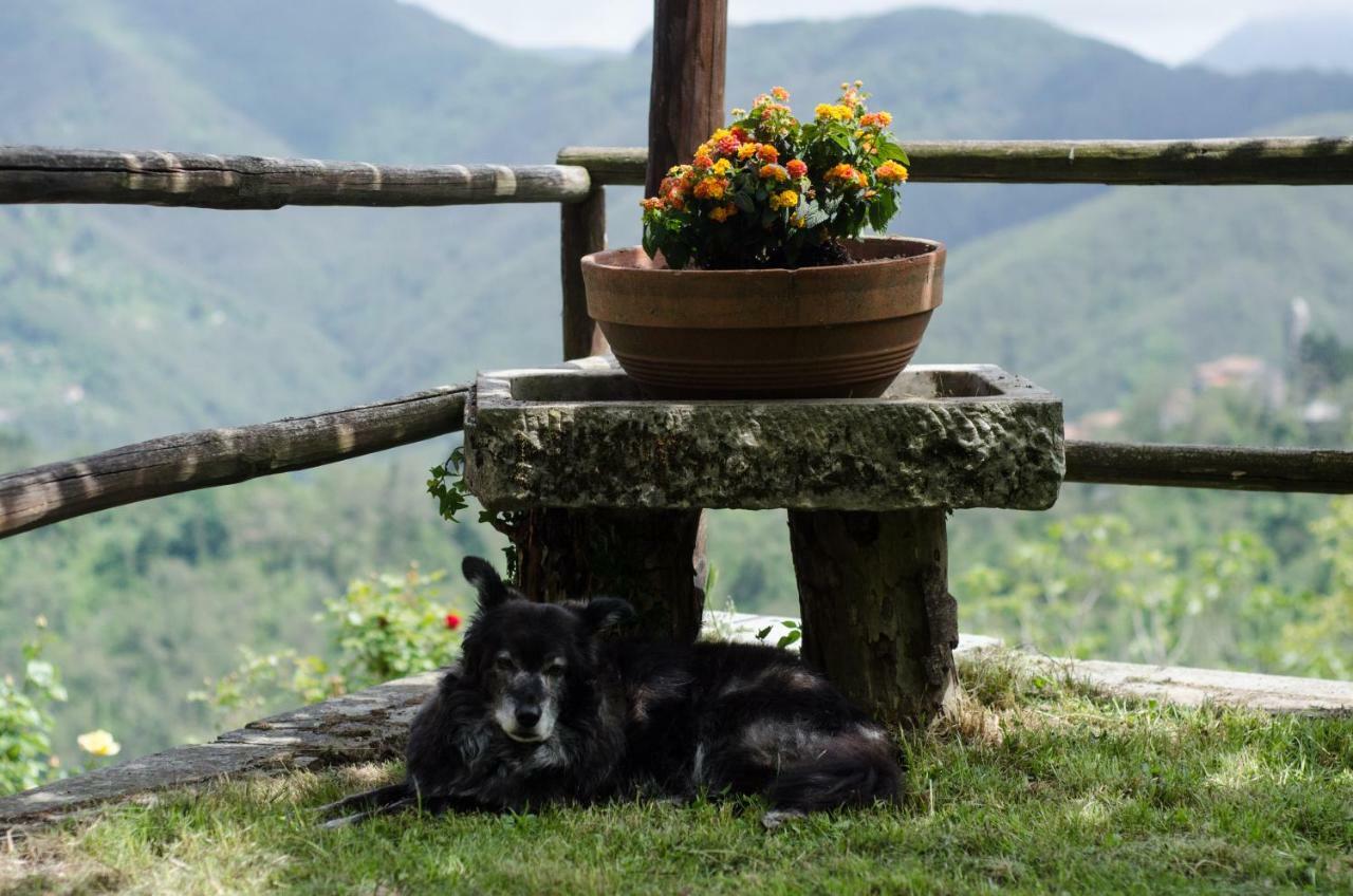 Il Frutteto Natura A Relax Stazzema Eksteriør billede