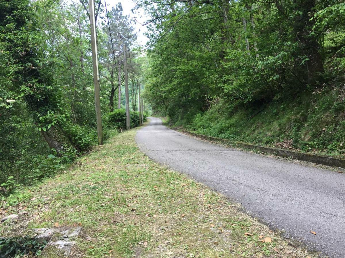Il Frutteto Natura A Relax Stazzema Eksteriør billede