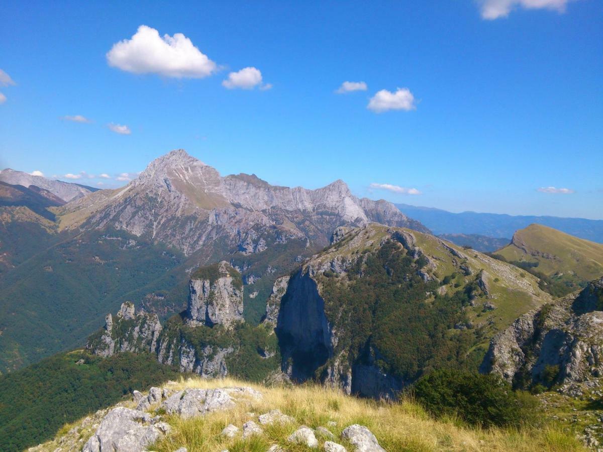 Il Frutteto Natura A Relax Stazzema Eksteriør billede